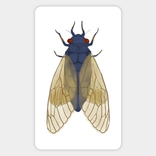 Cicadas Magnet